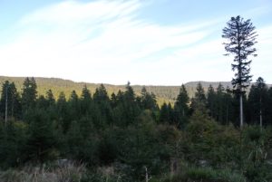 sumava_od-klary